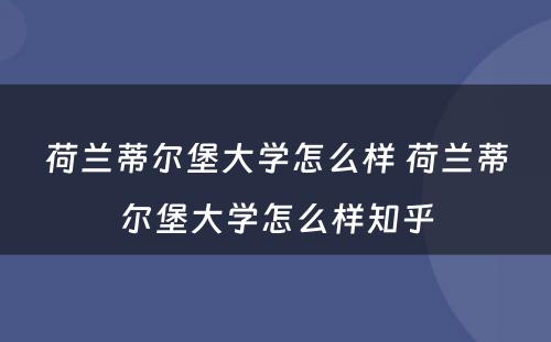 荷兰蒂尔堡大学怎么样 荷兰蒂尔堡大学怎么样知乎