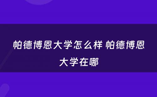 帕德博恩大学怎么样 帕德博恩大学在哪