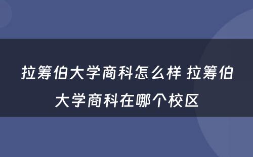 拉筹伯大学商科怎么样 拉筹伯大学商科在哪个校区