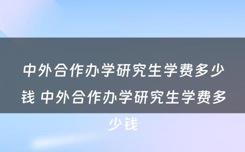 中外合作办学研究生学费多少钱 中外合作办学研究生学费多少钱