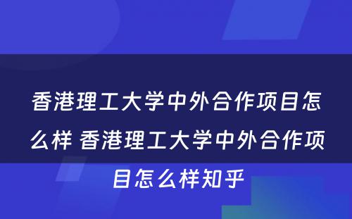 香港理工大学中外合作项目怎么样 香港理工大学中外合作项目怎么样知乎