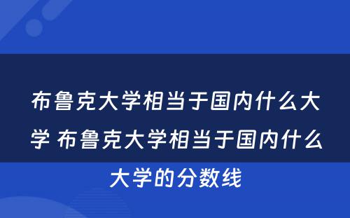 布鲁克大学相当于国内什么大学 布鲁克大学相当于国内什么大学的分数线