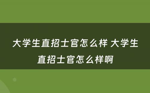 大学生直招士官怎么样 大学生直招士官怎么样啊