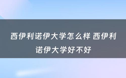 西伊利诺伊大学怎么样 西伊利诺伊大学好不好