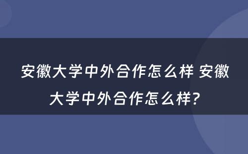 安徽大学中外合作怎么样 安徽大学中外合作怎么样?