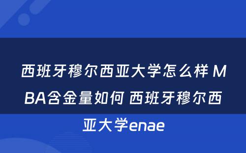 西班牙穆尔西亚大学怎么样 MBA含金量如何 西班牙穆尔西亚大学enae