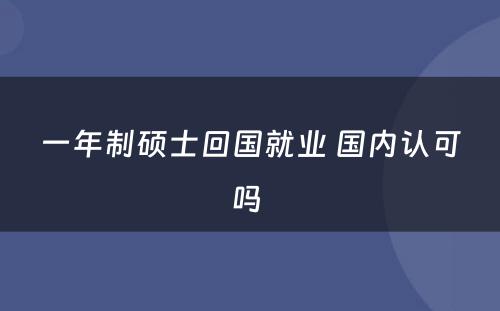 一年制硕士回国就业 国内认可吗 