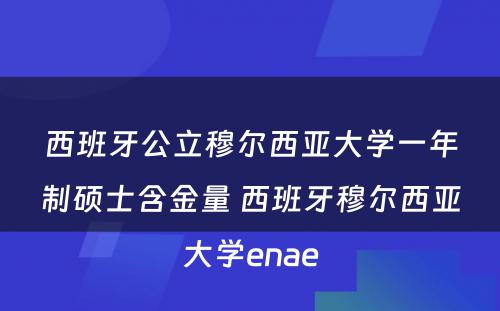 西班牙公立穆尔西亚大学一年制硕士含金量 西班牙穆尔西亚大学enae