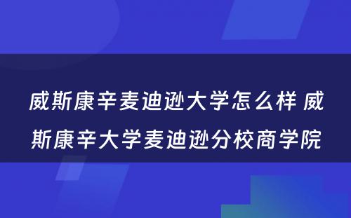 威斯康辛麦迪逊大学怎么样 威斯康辛大学麦迪逊分校商学院