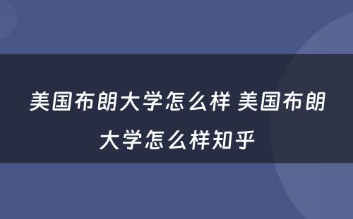 美国布朗大学怎么样 美国布朗大学怎么样知乎