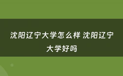 沈阳辽宁大学怎么样 沈阳辽宁大学好吗