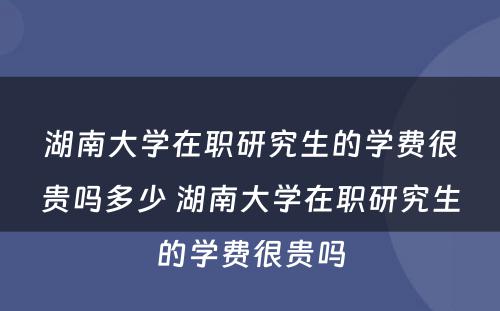 湖南大学在职研究生的学费很贵吗多少 湖南大学在职研究生的学费很贵吗