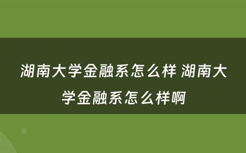 湖南大学金融系怎么样 湖南大学金融系怎么样啊
