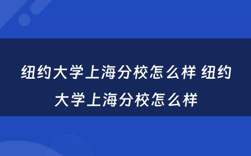 纽约大学上海分校怎么样 纽约大学上海分校怎么样