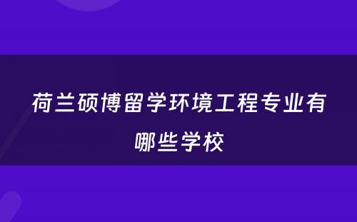 荷兰硕博留学环境工程专业有哪些学校