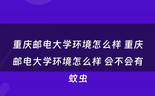 重庆邮电大学环境怎么样 重庆邮电大学环境怎么样 会不会有蚊虫