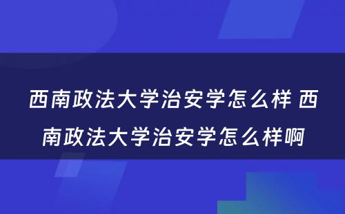 西南政法大学治安学怎么样 西南政法大学治安学怎么样啊