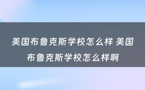 美国布鲁克斯学校怎么样 美国布鲁克斯学校怎么样啊