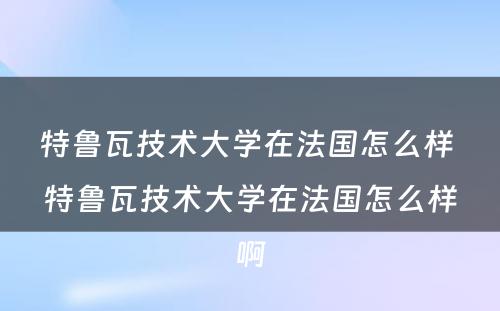 特鲁瓦技术大学在法国怎么样 特鲁瓦技术大学在法国怎么样啊