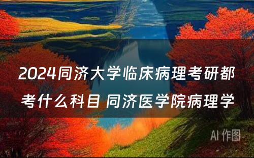 2024同济大学临床病理考研都考什么科目 同济医学院病理学