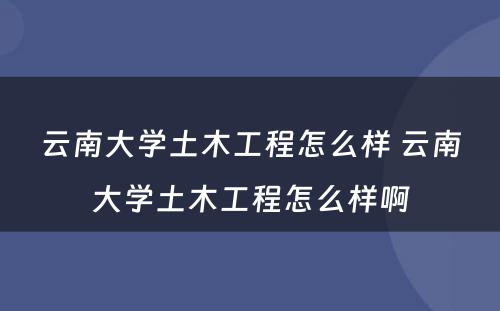 云南大学土木工程怎么样 云南大学土木工程怎么样啊