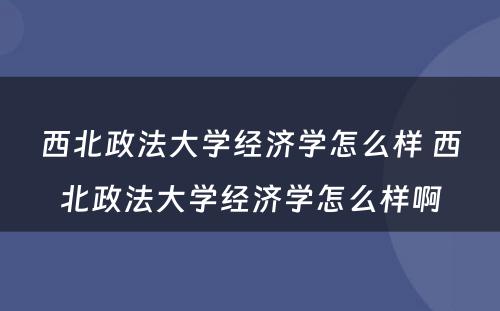 西北政法大学经济学怎么样 西北政法大学经济学怎么样啊