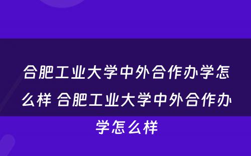 合肥工业大学中外合作办学怎么样 合肥工业大学中外合作办学怎么样
