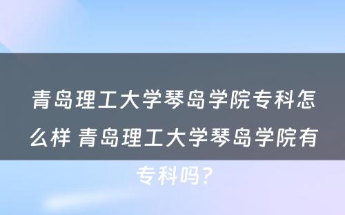 青岛理工大学琴岛学院专科怎么样 青岛理工大学琴岛学院有专科吗?