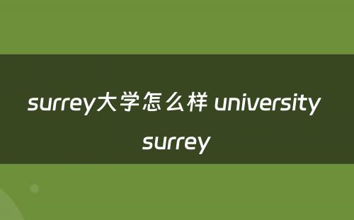 surrey大学怎么样 university surrey