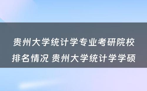 贵州大学统计学专业考研院校排名情况 贵州大学统计学学硕