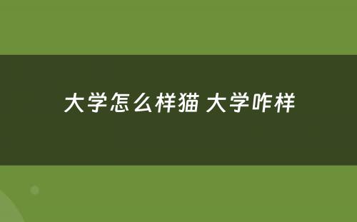大学怎么样猫 大学咋样