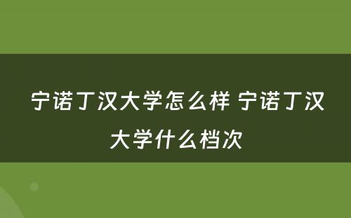 宁诺丁汉大学怎么样 宁诺丁汉大学什么档次