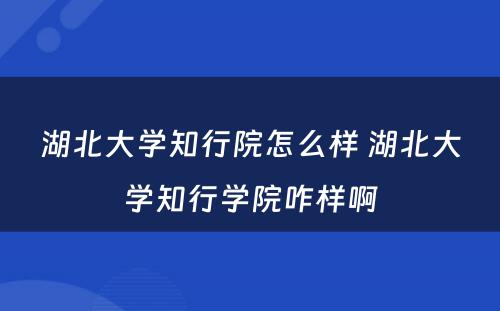 湖北大学知行院怎么样 湖北大学知行学院咋样啊