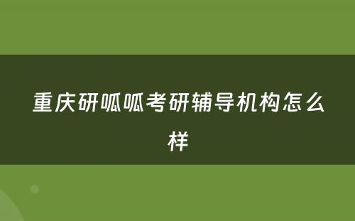 重庆研呱呱考研辅导机构怎么样