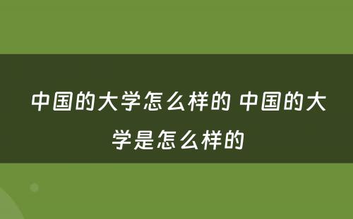 中国的大学怎么样的 中国的大学是怎么样的