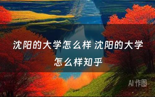 沈阳的大学怎么样 沈阳的大学怎么样知乎