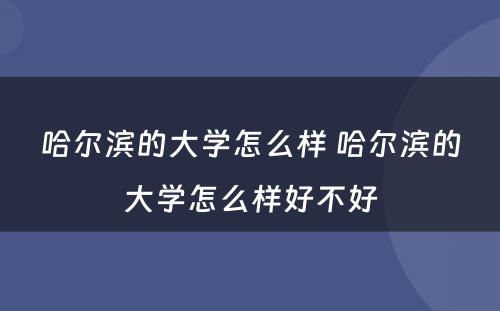 哈尔滨的大学怎么样 哈尔滨的大学怎么样好不好