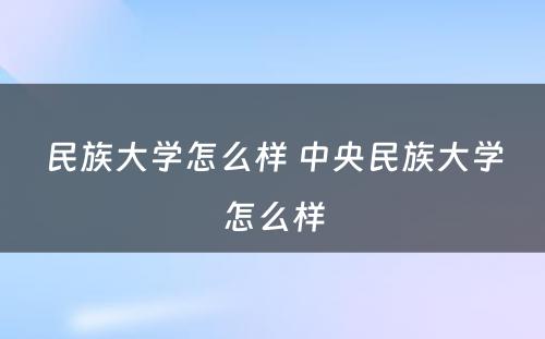 民族大学怎么样 中央民族大学怎么样