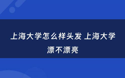 上海大学怎么样头发 上海大学漂不漂亮