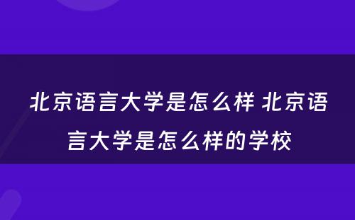 北京语言大学是怎么样 北京语言大学是怎么样的学校