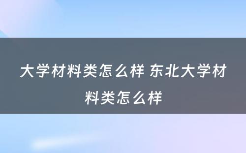 大学材料类怎么样 东北大学材料类怎么样