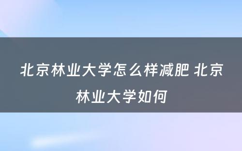 北京林业大学怎么样减肥 北京林业大学如何