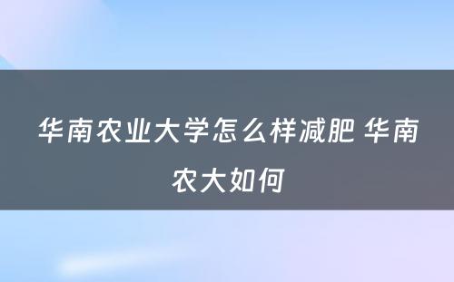 华南农业大学怎么样减肥 华南农大如何