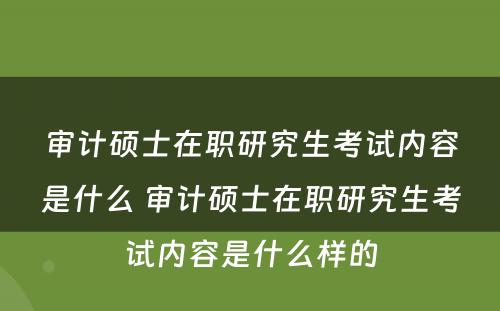审计硕士在职研究生考试内容是什么 审计硕士在职研究生考试内容是什么样的