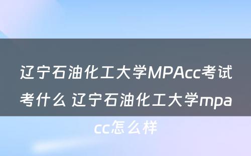 辽宁石油化工大学MPAcc考试考什么 辽宁石油化工大学mpacc怎么样