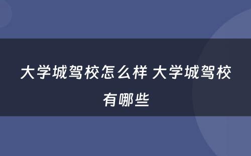 大学城驾校怎么样 大学城驾校有哪些