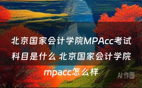 北京国家会计学院MPAcc考试科目是什么 北京国家会计学院mpacc怎么样
