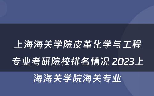 上海海关学院皮革化学与工程专业考研院校排名情况 2023上海海关学院海关专业