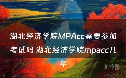 湖北经济学院MPAcc需要参加考试吗 湖北经济学院mpacc几年