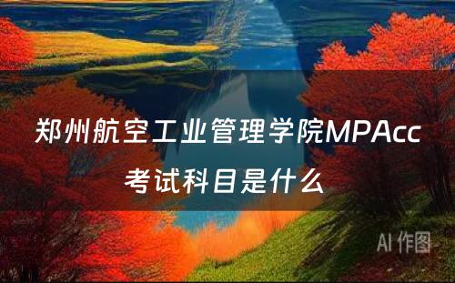 郑州航空工业管理学院MPAcc考试科目是什么 